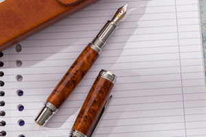 Ce greșeli să eviți atunci când alegi o peniță de stilou pentru începători